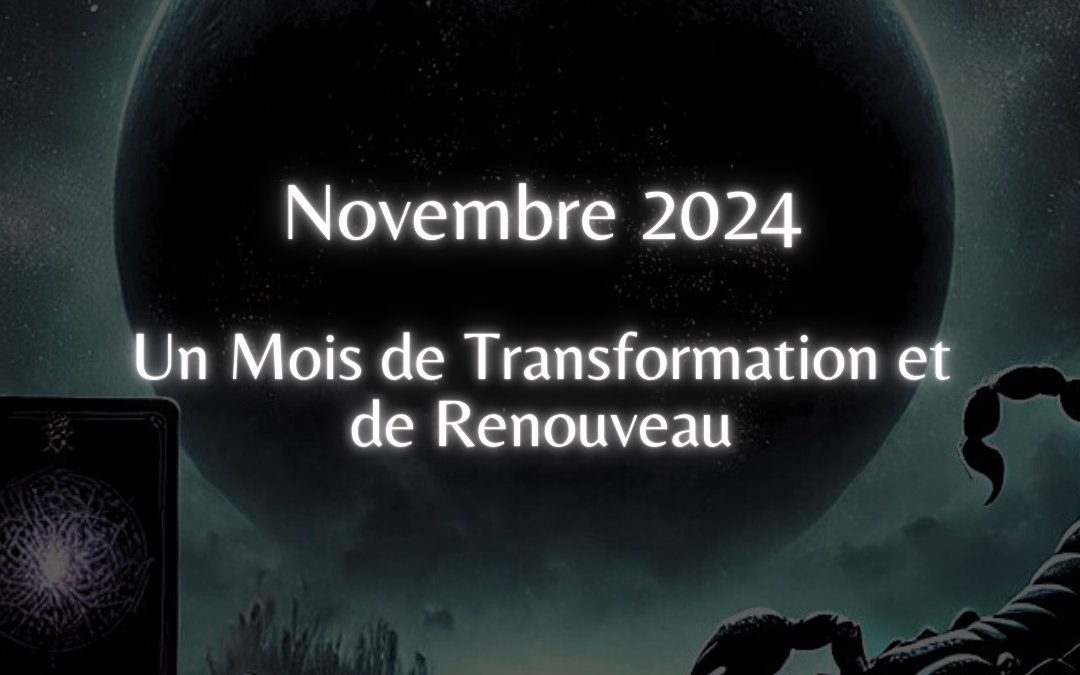 Novembre 2024 – Un Mois de transformation et de renouveau